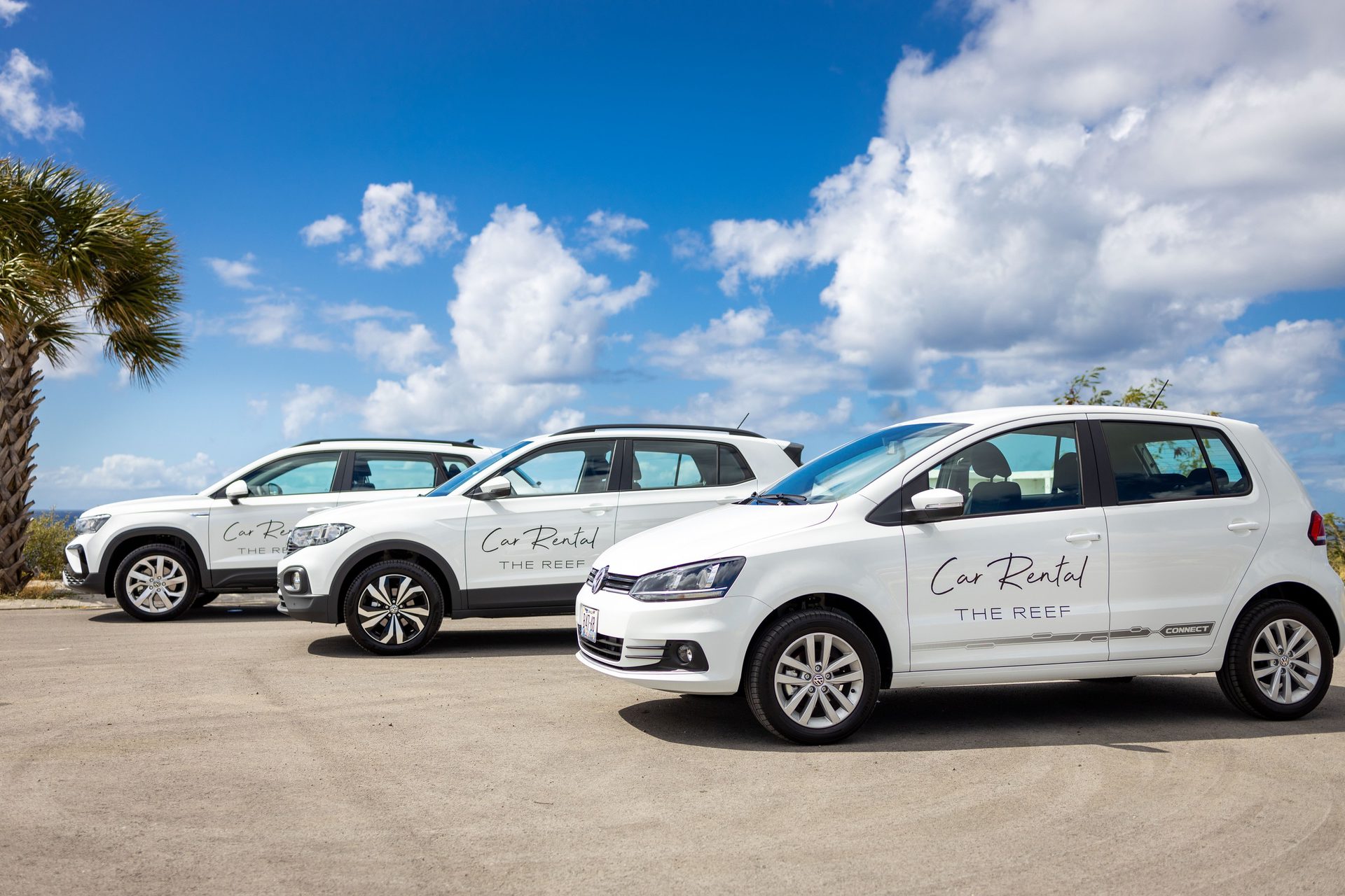 2_thereef-carrent-23