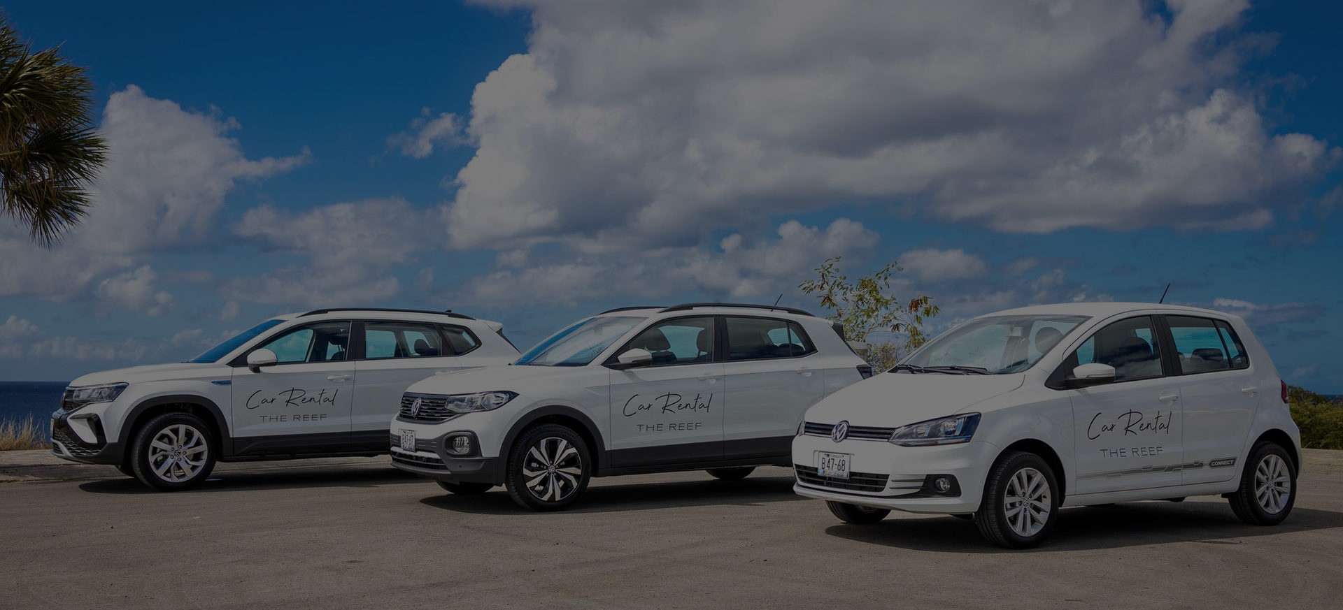 Our Cars